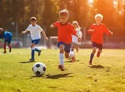 湖人打破本,赛季,得分荒,世界杯赛程,2026世界杯,比赛时间,场馆信息,赛事安排