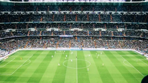 “中国网球选手澳网征程折戟第二轮，蓄势待发再攀高峰”